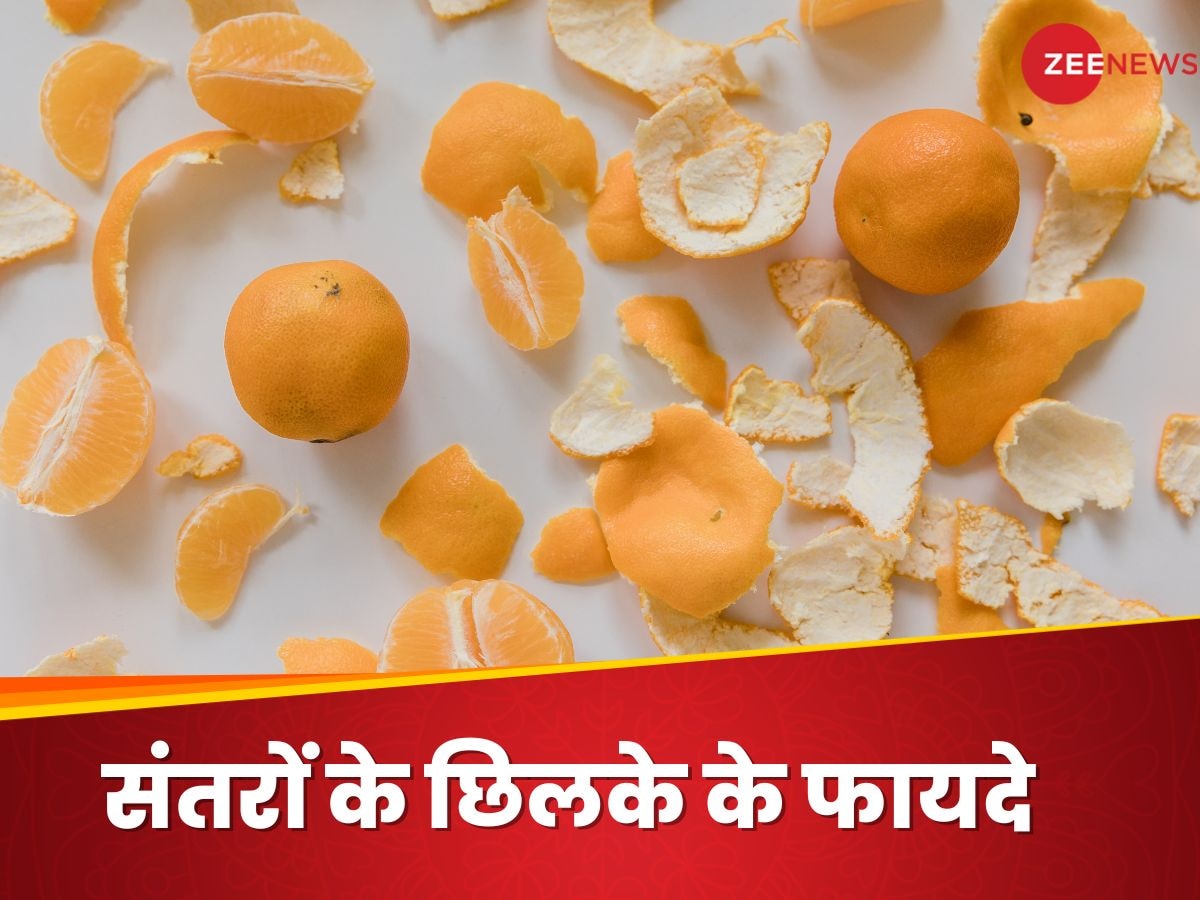 Orange Peel Benefits: संतरे का छिलका सिर्फ कचरा नहीं, सेहत का है खजाना! जानें कैसे करें इस्तेमाल