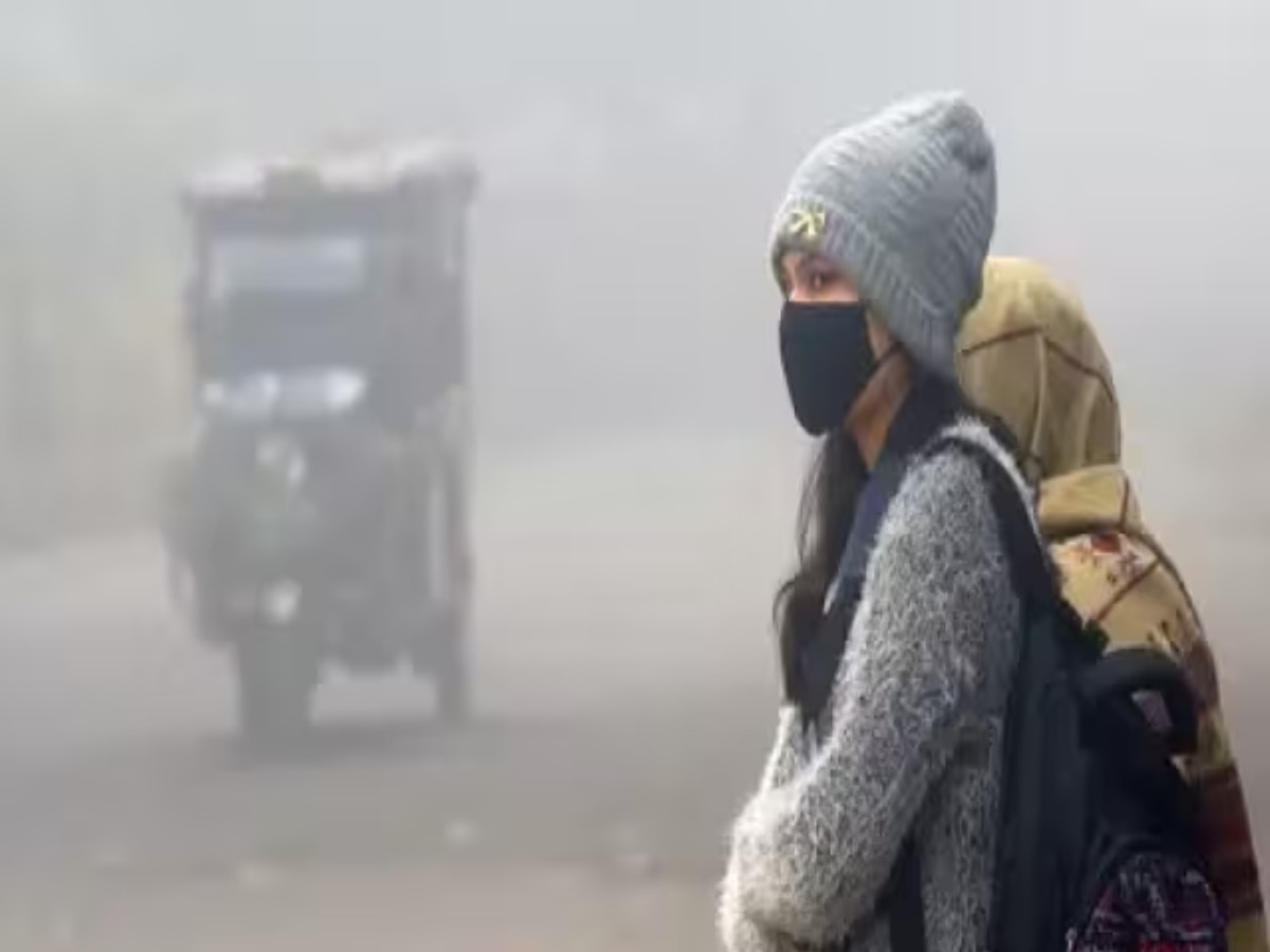 Jharkhand Weather Update: उत्तर भारत समेत झारखंड के मौसम का बदला मिजाज, घने कोहरे को लेकर येलो अलर्ट जारी