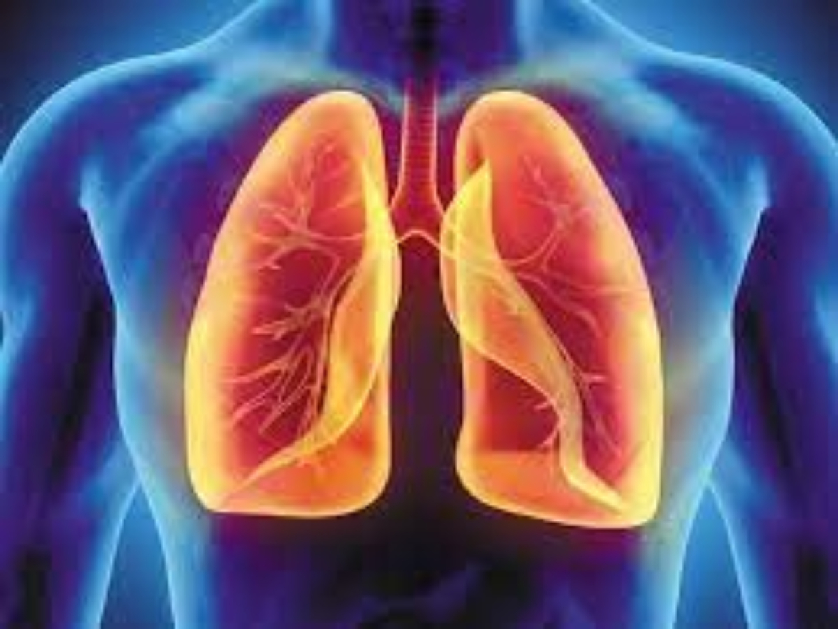 फेफड़े की गंदगी