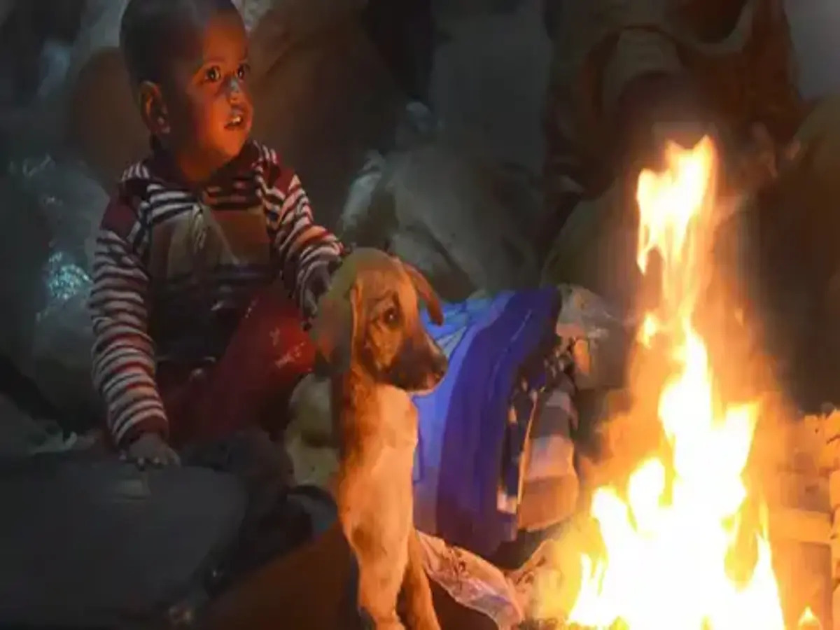 Weather Update Today: ଆହୁରି କେତେ ଦିନ ପର୍ଯ୍ୟନ୍ତ ଜାରି ରହିବ ଶୀତ ଲହରୀ? ପୂର୍ବାନୁମାନ କରି ଜଣାଇଦେଲା ଆଇଏମଡି Weather Update Today: ଆହୁରି କେତେ ଦିନ ପର୍ଯ୍ୟନ୍ତ ଜାରି ରହିବ ଶୀତ ଲହରୀ? ପୂର୍ବାନୁମାନ କରି ଜଣାଇଦେଲା ଆଇଏମଡି