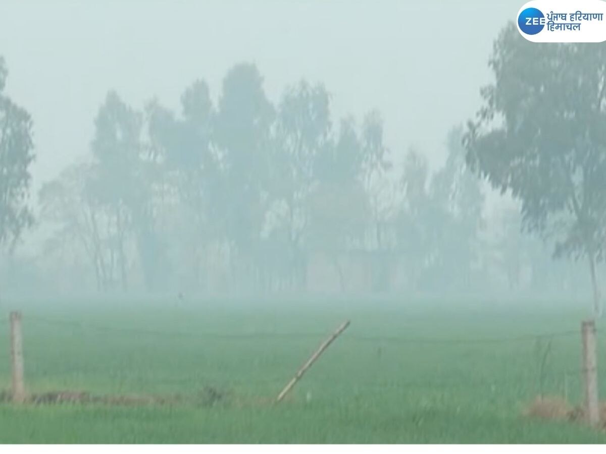 Punjab Weather Update: ਹਿਮਾਚਲ 'ਚ ਬਰਫ਼ ਘੱਟ, ਪੰਜਾਬ 'ਚ ਹੱਡਚੀਰਵੀਂ ਠੰਡ,ਮੌਸਮ ਵਿਭਾਗ ਵੱਲੋਂ ਆਰੇਂਜ ਅਲਰਟ