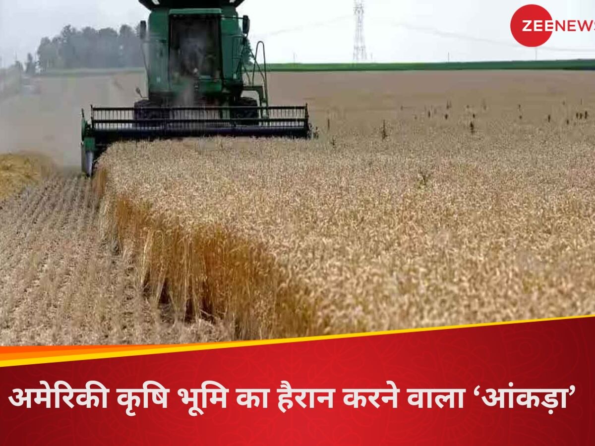 US Farmland Ownership: अमेरिकी जमीन पर चीन का ‘कब्जा’! खेती की जमीन से जुड़ी ये बात वॉशिंगटन को कर रही परेशान