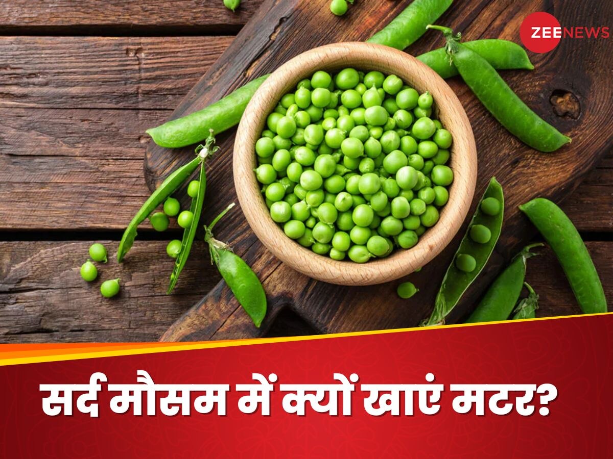 Peas Benefits: सर्द है मौसम, तो रोज खाएं मटर, फायदे इतने कि आप भी कहेंगे, 'वाह-वाह'