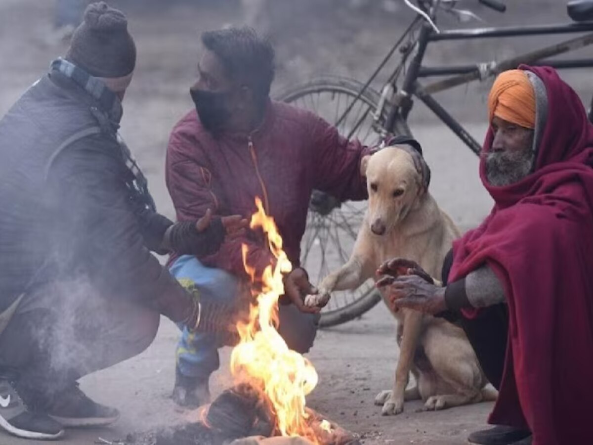 Weather Update Today: दिल्ली वालों को आज सर्दी से मिलेगी राहत? जानें मौसम विभाग का पूर्वानुमान