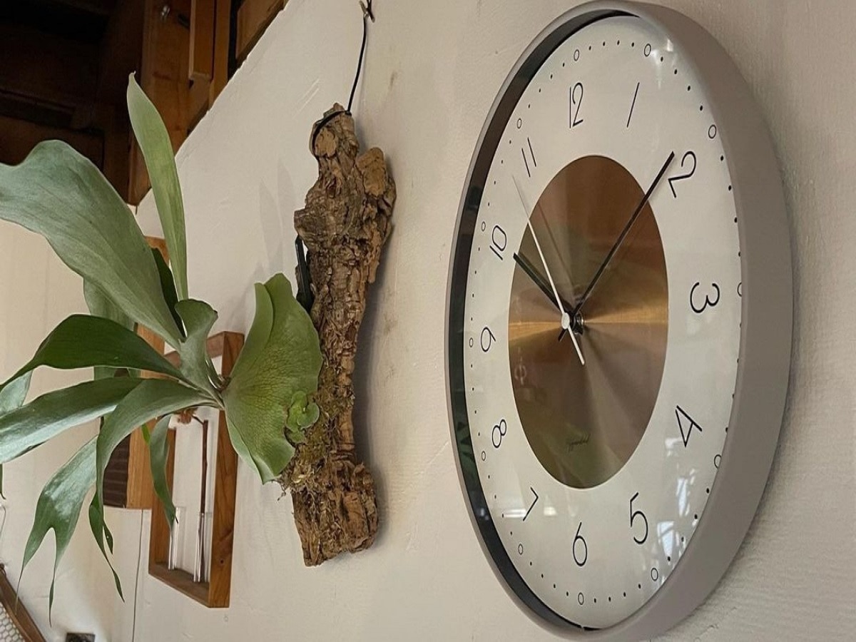 Clock Vastu Tips: अगर घर की इस दीवार पर टंगी है घड़ी तो आ सकता है बुरा समय, बढ़ सकती है परेशानियां