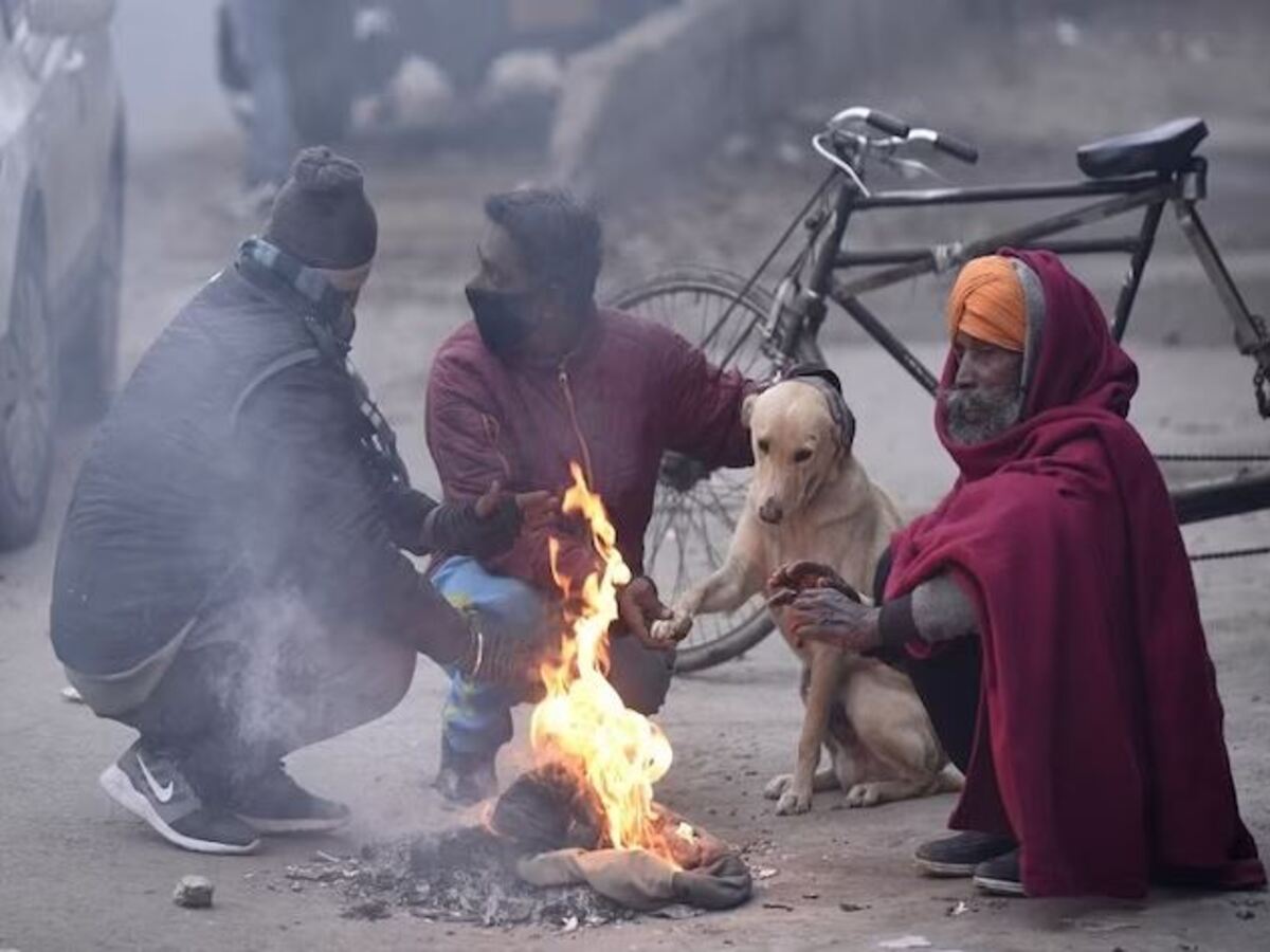 Weather Update Today: ପାଣିପାଗ ବିଭାଗ ପକ୍ଷରୁ ରେଡ ଆଲର୍ଟ ଜାରି; କ'ଣ ରହିଛି ଶୀତ ଲହରୀ ସ୍ଥିତି? Weather Update Today: ପାଣିପାଗ ବିଭାଗ ପକ୍ଷରୁ ରେଡ ଆଲର୍ଟ ଜାରି; କ'ଣ ରହିଛି ଶୀତ ଲହରୀ ସ୍ଥିତି?