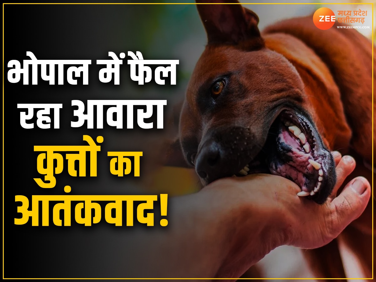 MP Dog Attack: भोपाल में नहीं थम रहा आवारा कुत्तों का आतंक, 15 दिन में ली दो बच्चों की ली जान, नगर निगम हुआ फेल!