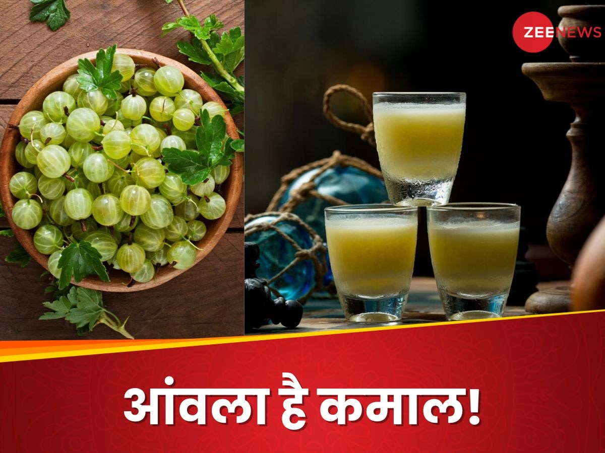 Amla for Hair: स्किन और बालों के लिए फायदेमंद है आंवला शॉट्स, मिनटों में इस तरह करें तैयार