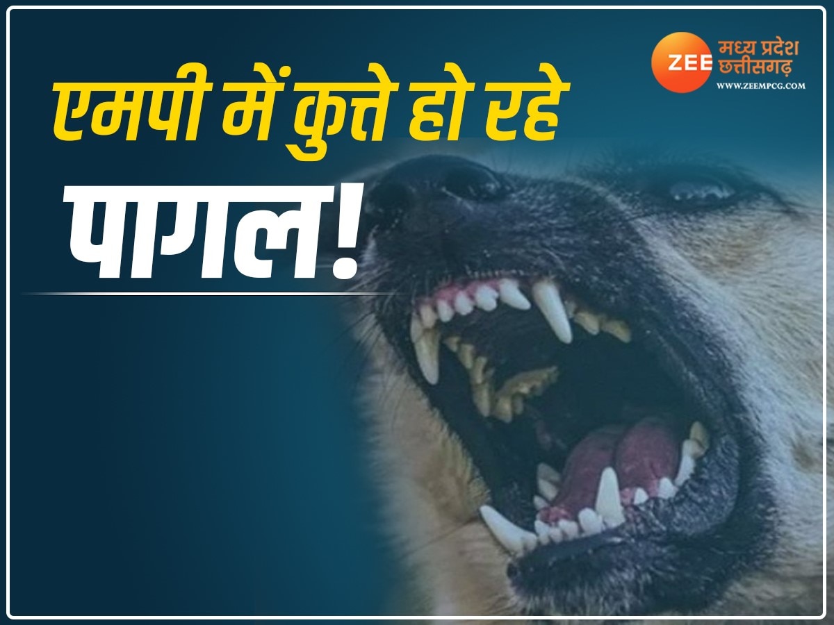 Gwalior: कुत्ते बने हैवान! ग्वालियर में 24 घंटे में 455 लोगों को कुत्तों ने काटा, भोपाल में दो मासूमों की मौत