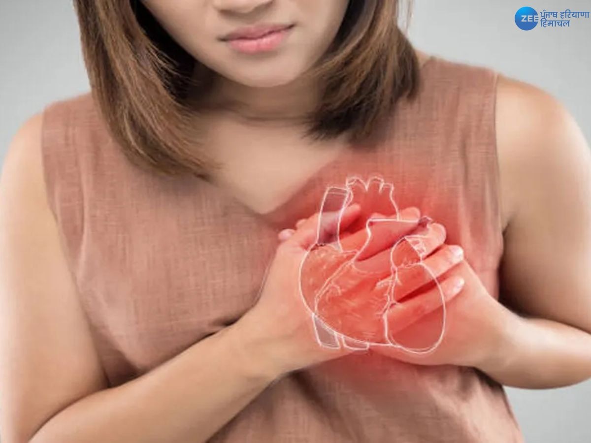 Cardiac Arrest vs Heart Attack: ਦਿਲ ਦਾ ਦੌਰਾ ਤੇ ਕਾਰਡੀਅਕ ਅਰੈਸਟ 'ਚ ਕੀ ਹੈ ਫ਼ਰਕ, ਜਾਣੋ ਕਿਹੜਾ ਜ਼ਿਆਦਾ ਖ਼ਤਰਨਾਕ