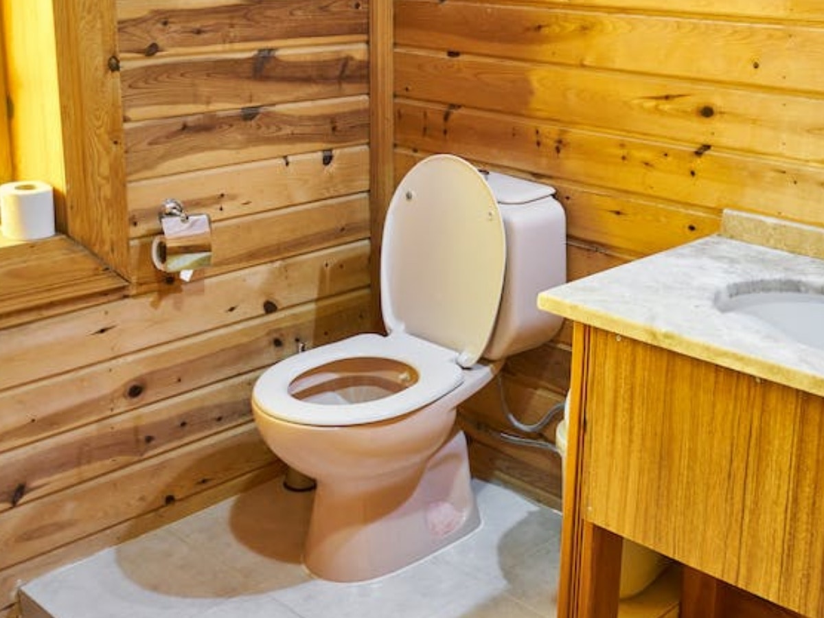 फ्लश करते समय क्यों बंद करना चाहिए टॉयलेट का ढक्कन? इस डॉक्टर ने दी चेतावनी  