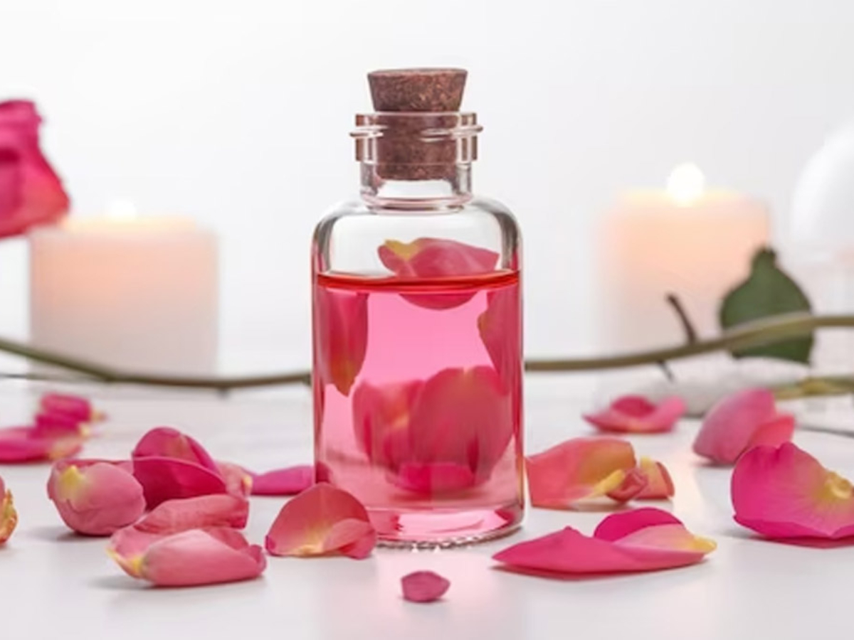 Winter Skin Care: सर्दियों में चेहरे की रौनक को बढ़ाने के लिए लगाएं ये 5 चीजें, स्किन बनेगी सॉफ्ट और ग्लोइंग... 16 ग्लिसरीन और गुलाब जल