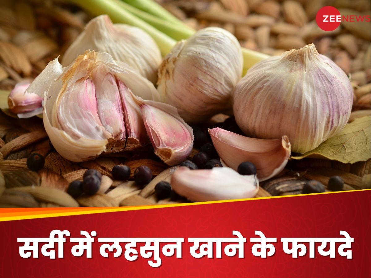 Garlic Benefits: सर्दी में लहसुन का कमाल, इम्यूनिटी बूस्टर से लेकर जुकाम-खांसी का दुश्मन