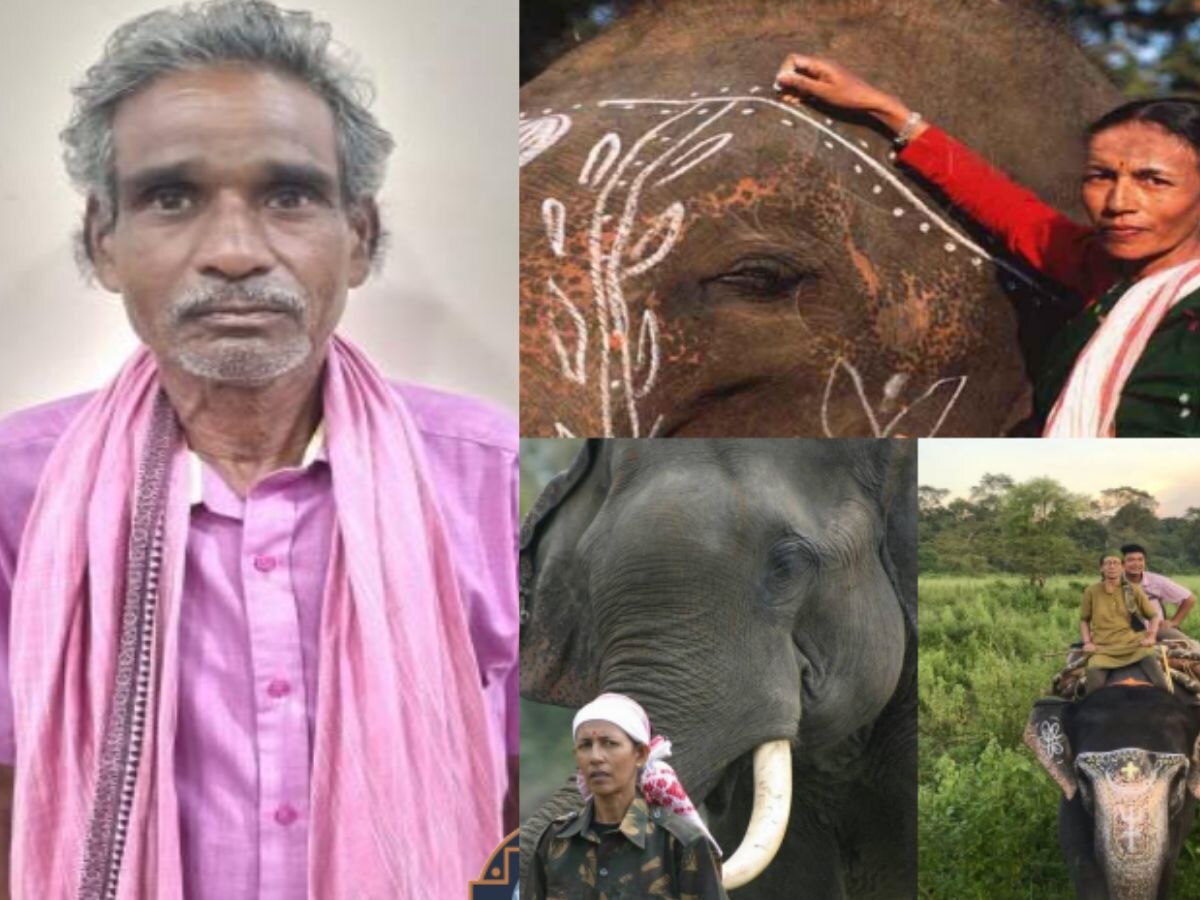 list of padma awards 2024 announced on republic day evening parbati