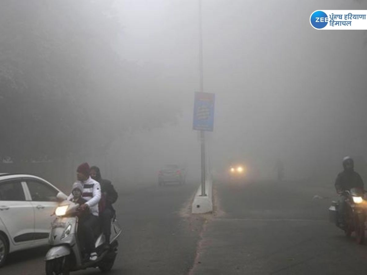 Punjab Weather Update: ਪੰਜਾਬ 'ਚ ਚੱਲ ਰਹੀ ਸੀਤ ਲਹਿਰ, ਨਵਾਂਸ਼ਹਿਰ ਸਭ ਤੋਂ ਠੰਡਾ, ਆਪਣੇ ਸ਼ਹਿਰ ਹਾਲ ਜਾਣਨ ਲਈ ਪੜ੍ਹੋ ਖ਼ਬਰ