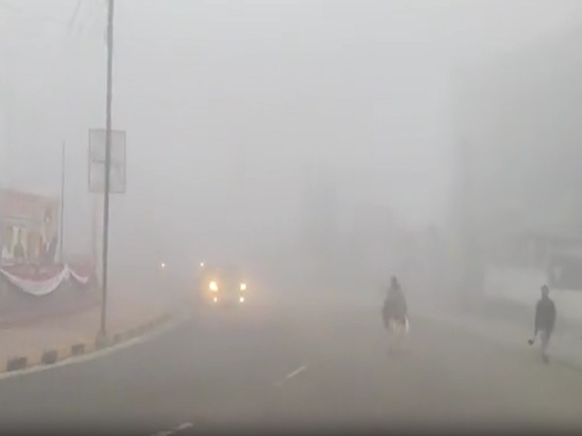 Weather Update: कोहरे की सफेद चादर से ढका अलवर, सर्द हवाओं की मार से आमजन परेशान 