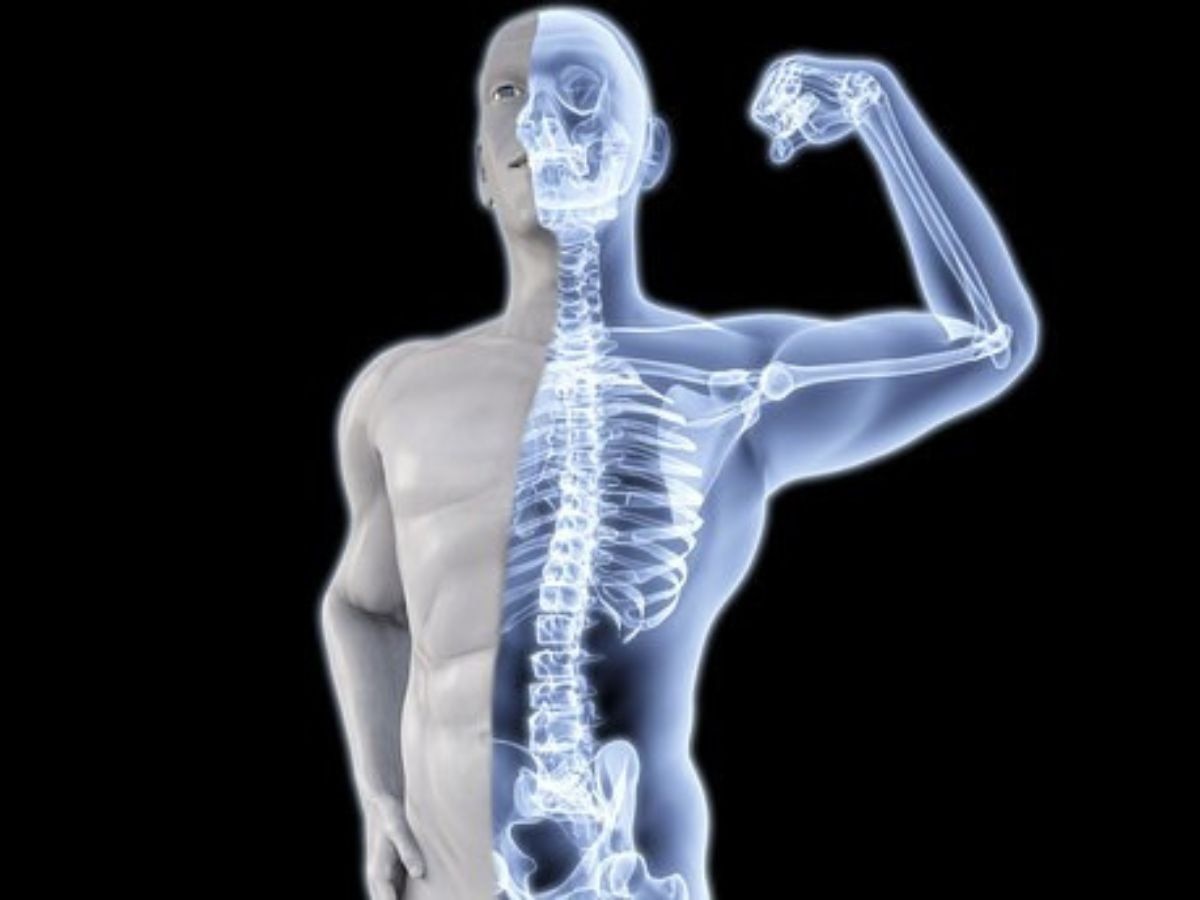 Strong Bones: मजबूत हड्डियों से जिंदगी को बनाएं सुरक्षित, 30 के बाद भी बने रहें फिट और एक्टिव