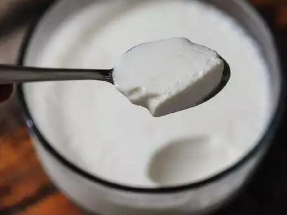 Curd in Winter: सर्दियों में दही खाना चाहिए या नहीं? जानें डॉक्टर और आयुर्वेद का नजरिया