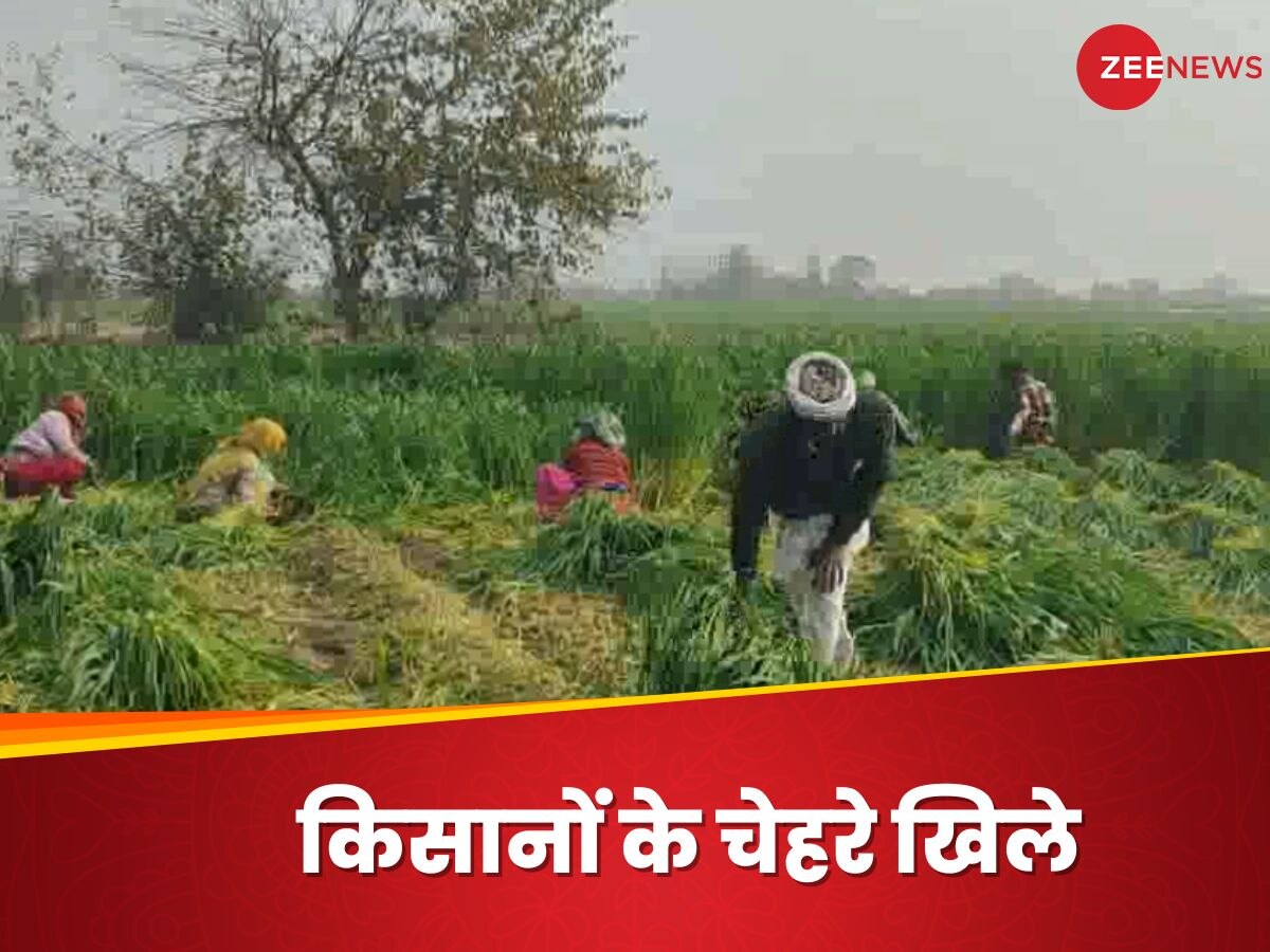 Delhi: 6 महीने पहले बाढ़ में डूबे थे खादर के ये खेत, अब वहीं से किसानों के लिए आई गुड न्यूज़