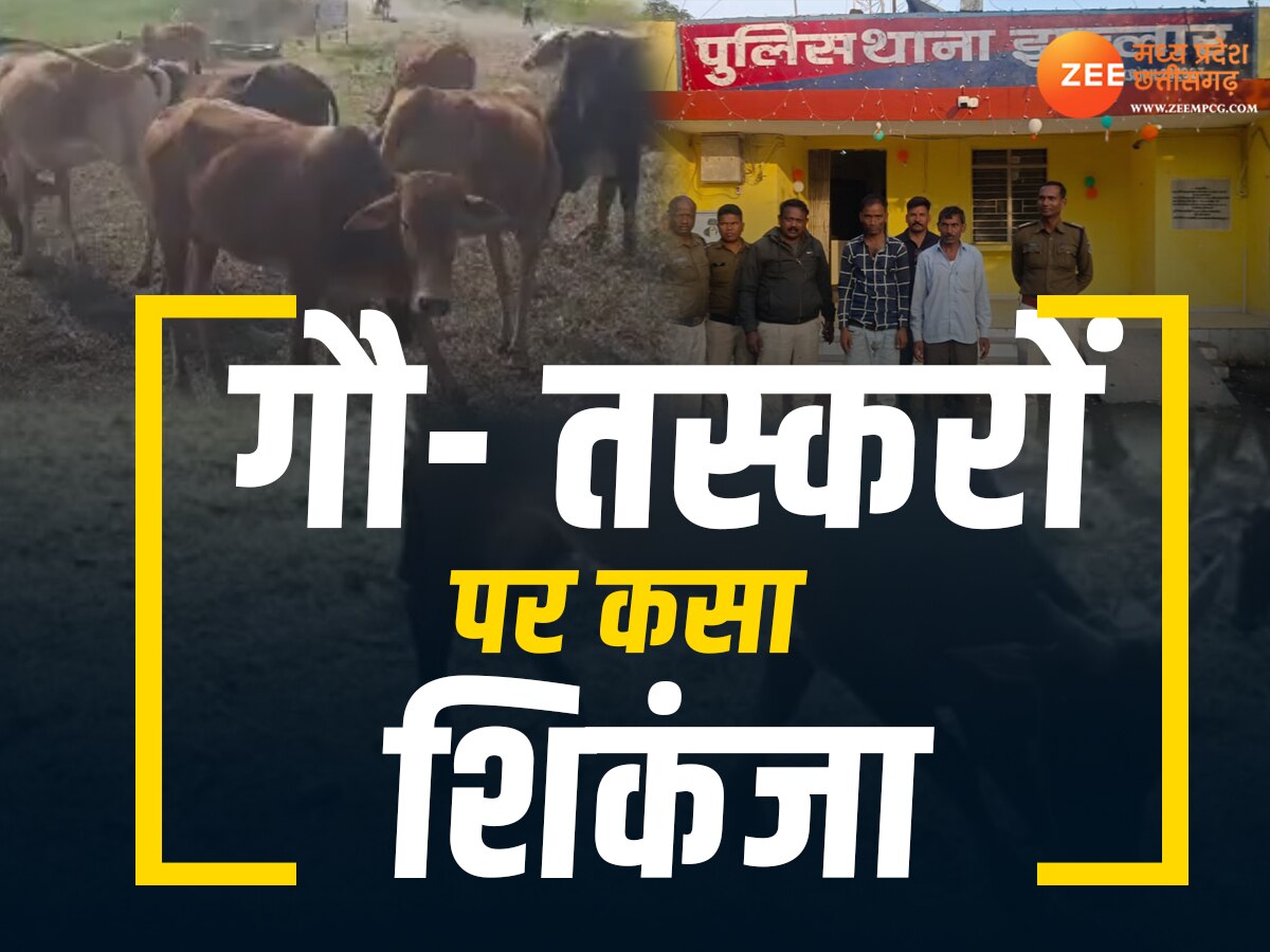 MP News: बड़ी चालाकी से छिपाकर ले जा रहे थे गोवंश, गांव वालों ने इस तरह पकड़े तस्कर