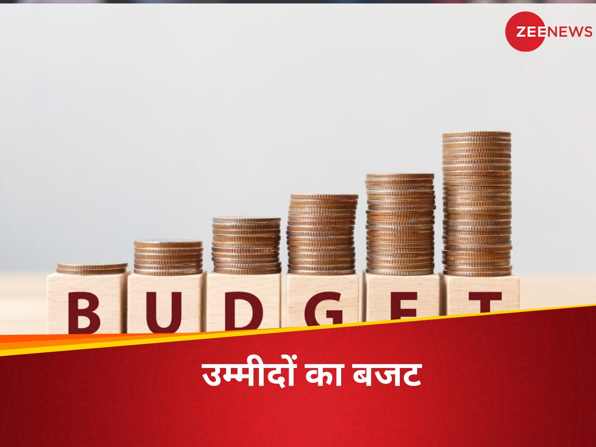 Budget 2024