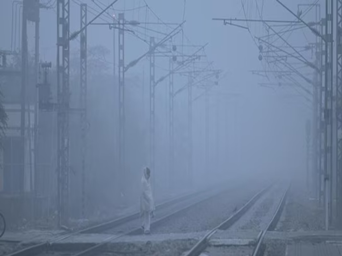 Weather Update 30 January: कोहरे की चादर से ढके दिल्ली- NCR सहित कई राज्य, धुंध ऐसी कि विजिबिलिटी हो गई जीरो