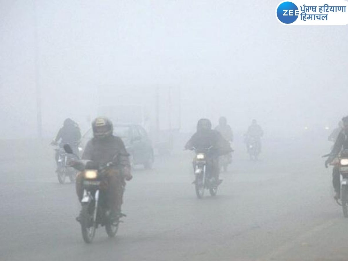 Punjab Weather Update: ਪੰਜਾਬ 'ਚ ਸੰਘਣੀ ਧੁੰਦ ਨੇ ਮੁੜ ਵਾਹਨਾਂ ਦੀ ਰਫ਼ਤਾਰ ਕੀਤੀ ਹੌਲੀ, ਅੱਜ ਮੀਂਹ ਦੀ ਸੰਭਾਵਨਾ