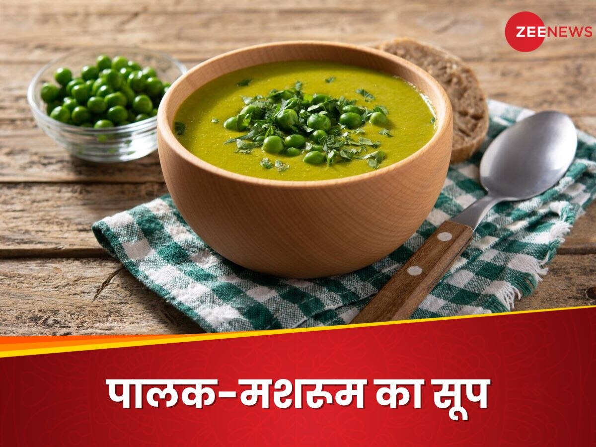 Palak Benefits: सर्दियों के लिए बेस्ट हैं पालक की ये रेसिपी, आज ही करें ट्राई