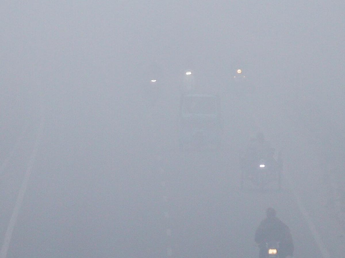 Delhi Fog: दिल्ली में घने कोहरे ने बढ़ाई लोगों की दिक्कत, ट्रेन प्लेन प्रभावित Delhi Fog: दिल्ली में घने कोहरे ने बढ़ाई लोगों की दिक्कत, ट्रेन प्लेन प्रभावित