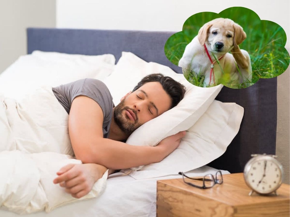 Dog in Dream: सपने में कुत्ता दिखना शुभ या अशुभ? जानें क्या होगा जीवन में बड़ा बदलाव