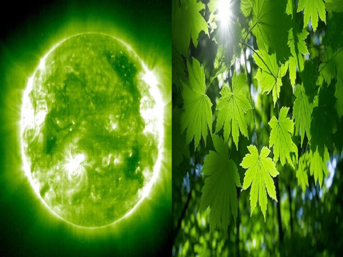 General Knowledge Quiz : इस देश में दिखाई देता है हरा सूर्य, देखें एक नजर 
