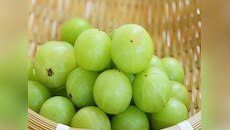 हेल्थ के लिए खजाना है ये हरा फल, मिल सकते हैं तगड़े फायदे 