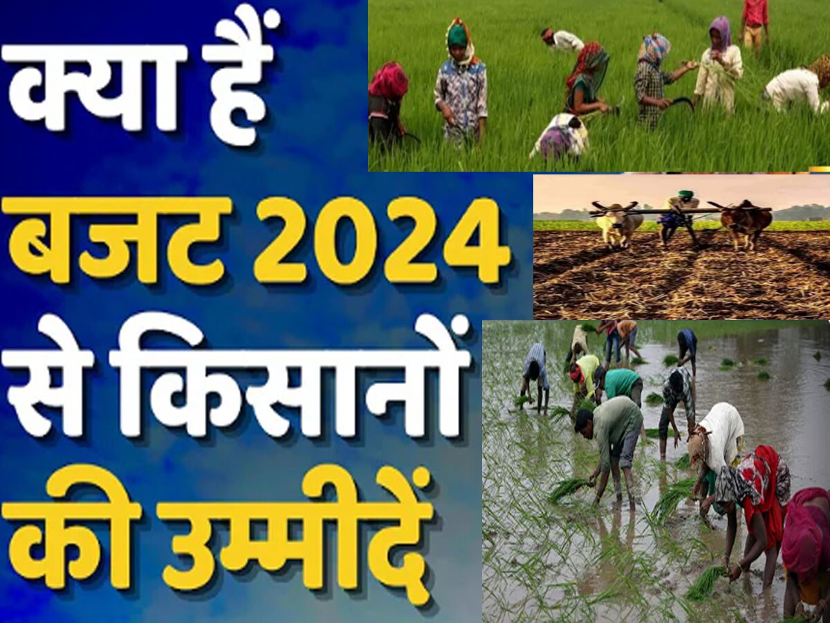 Budget 2024: राजस्थान के अन्नदाताओं की उम्मीदों भरा होगा बजट! किसानों को बड़ी सौगात देकर खुश कर सकती है सरकार