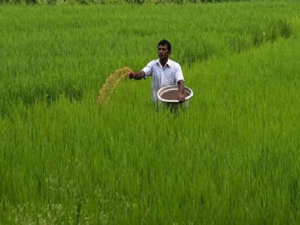 Budget 2024 For Farmers: कृषि को लेकर बड़ा ऐलान, डेयरी किसानों की मदद के लिए सरकार लाएगी ये नियम 