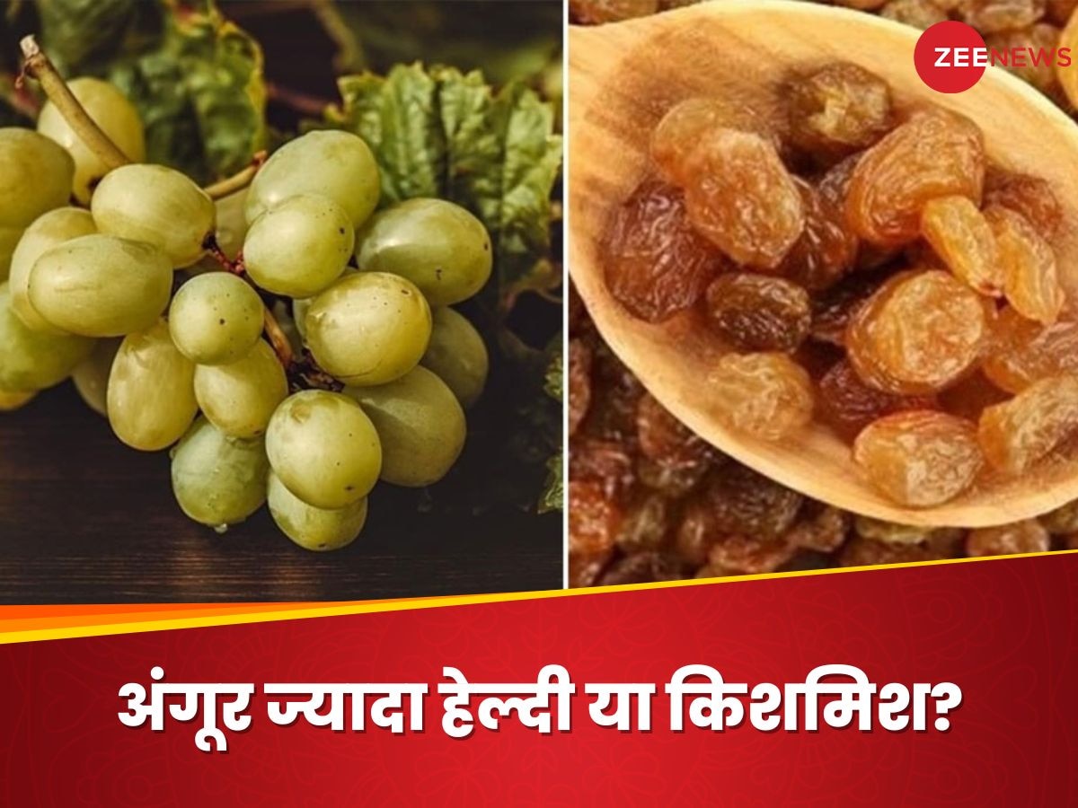 Grapes Vs Raisins अंगूर या किशमिश जानिए इन दोनों में से सेहत के लिए क्या है ज्यादा फायदेमंद