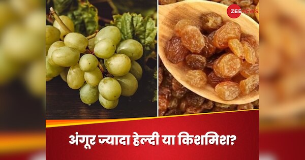 Grapes Vs Raisins Which is More Healthy Dry Fruit Kishmis Aur Angoor me ...