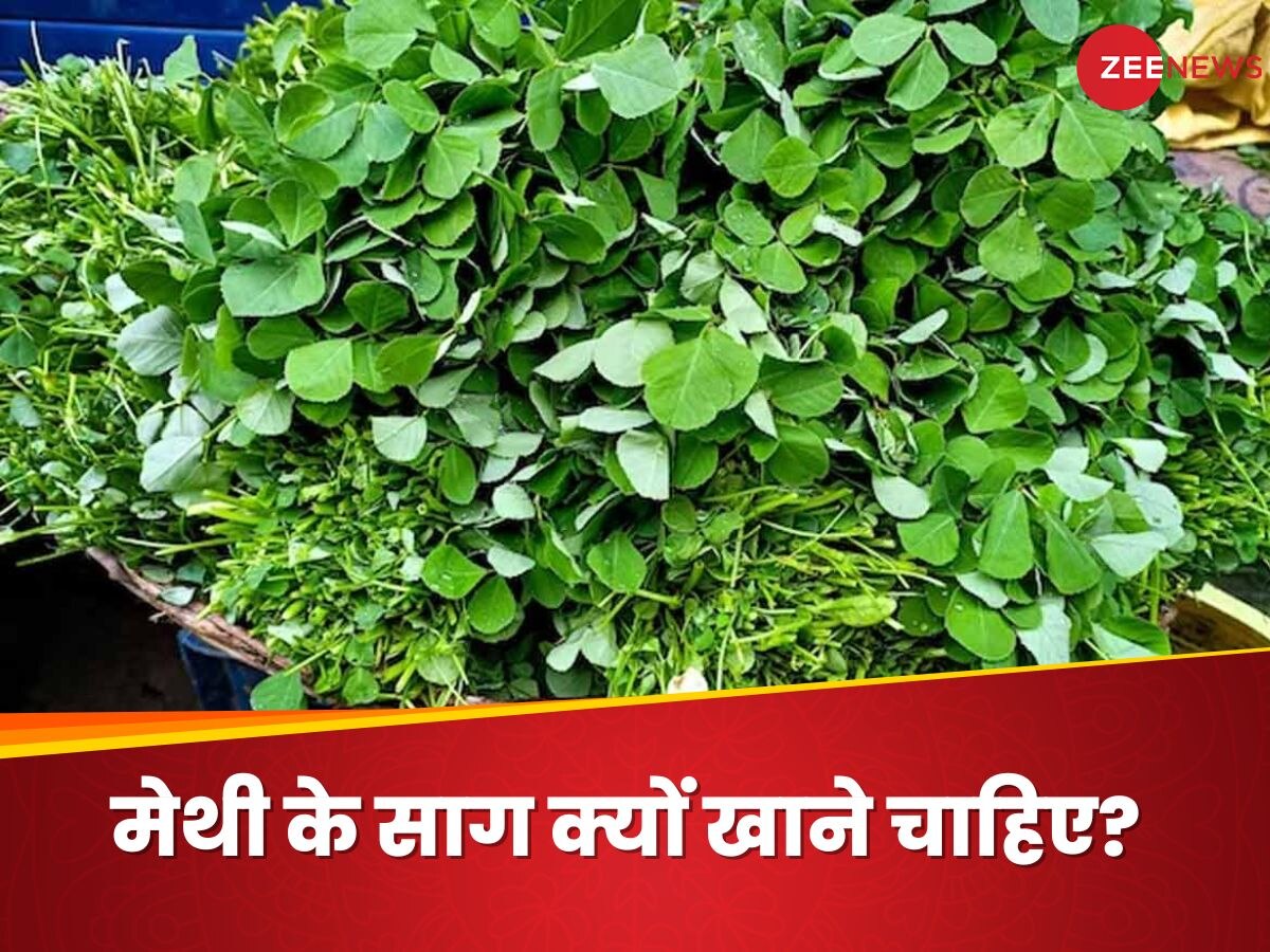 Fenugreek: मेथी के पत्तों में छिपा है सेहत का राज, रेगुलर खाएंगे साग तो मिलेंगे जबरदस्त फायदे