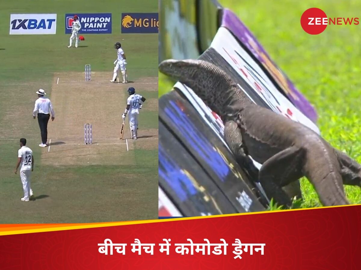 VIDEO: मैच के बीच में मैदान में घुस आया Komodo Dragon, मच गई खलबली; रोका गया खेल