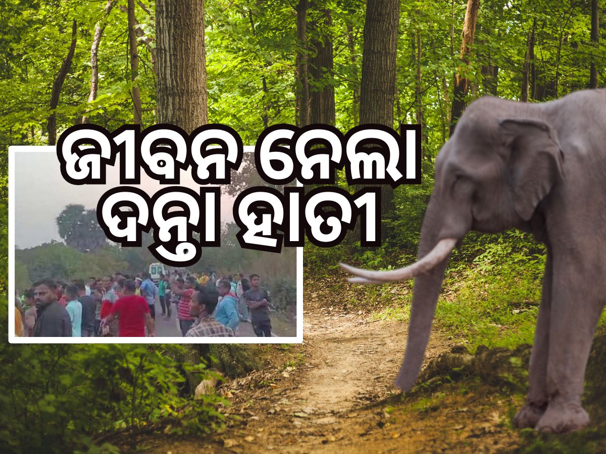 Elephant attack: ଢେଙ୍କାନାଳରେ ହାତୀ ଆତଙ୍କ, ପାଦରେ ଦଳି ନେଲା ଜୀବନ Elephant attack: ଢେଙ୍କାନାଳରେ ହାତୀ ଆତଙ୍କ, ପାଦରେ ଦଳି ନେଲା ଜୀବନ