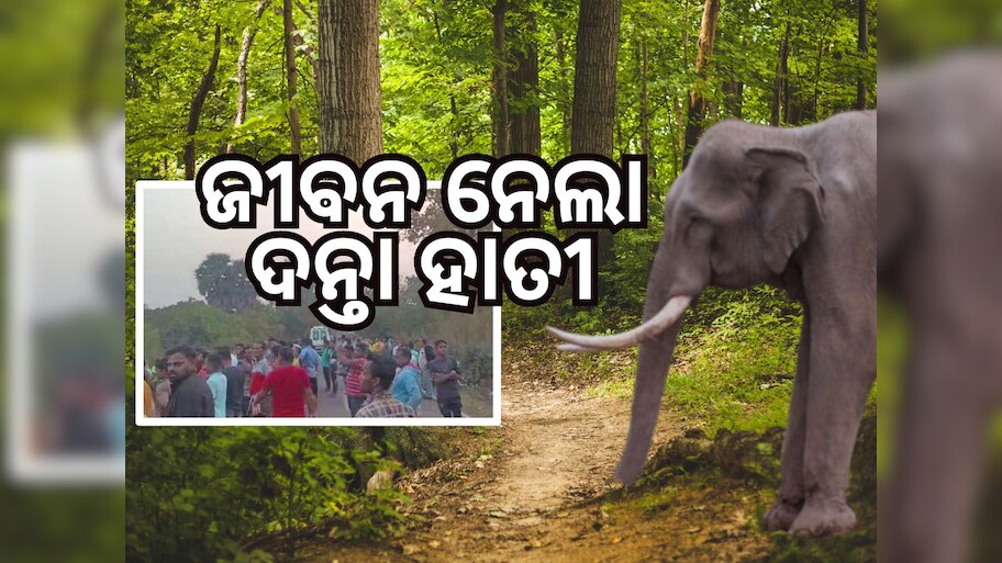 Elephant attack: ଢେଙ୍କାନାଳରେ ହାତୀ ଆତଙ୍କ, ପାଦରେ ଦଳି ନେଲା ଜୀବନ