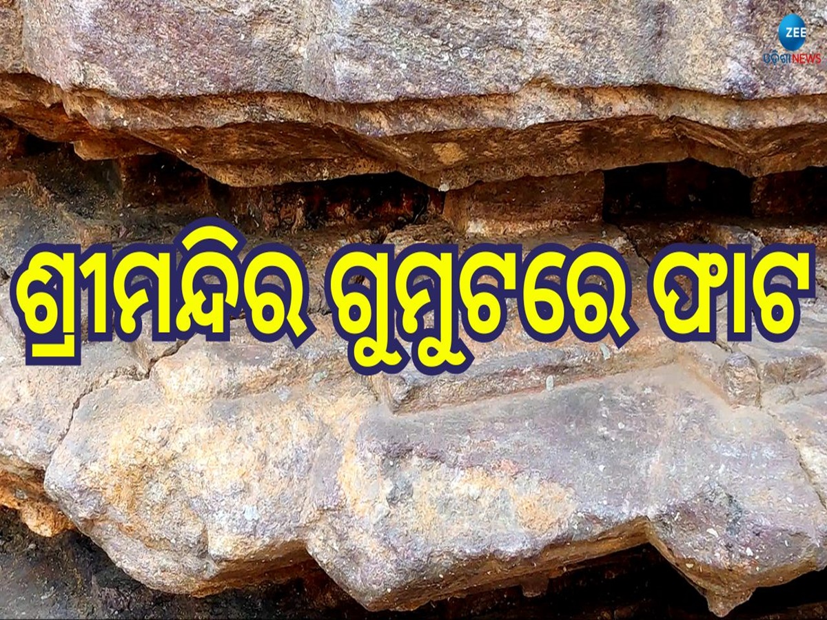Puri Srimandira: ଶ୍ରୀମନ୍ଦିର ଉତ୍ତର ଦ୍ୱାର ଅର୍ଥାତ ହସ୍ତି ଦ୍ୱାର ଗୁମୁଟରେ ଫାଟ, ଖସୁଛି ପଥର ଖଣ୍ଡ Puri Srimandira: ଶ୍ରୀମନ୍ଦିର ଉତ୍ତର ଦ୍ୱାର ଅର୍ଥାତ ହସ୍ତି ଦ୍ୱାର ଗୁମୁଟରେ ଫାଟ, ଖସୁଛି ପଥର ଖଣ୍ଡ