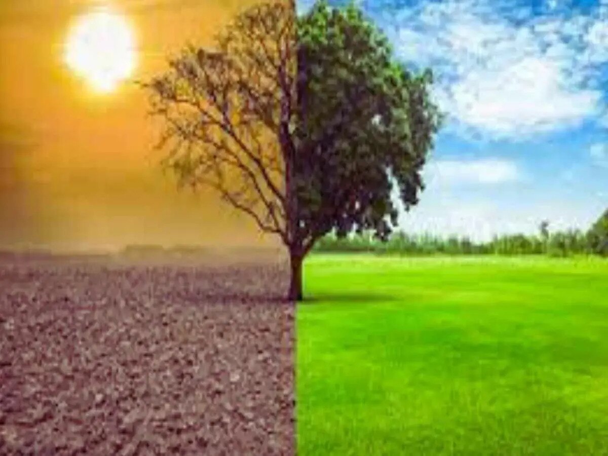 Global Warming: ଗ୍ଲୋବାଲ ୱାର୍ମିଂ ସମସ୍ୟାର ମୁକାବିଲା ପାଇଁ ଚତୁର କୌଶଳ ଆପଣାଇଲେ ବୈଜ୍ଞାନିକ; ଜାଣନ୍ତୁ କ'ଣ