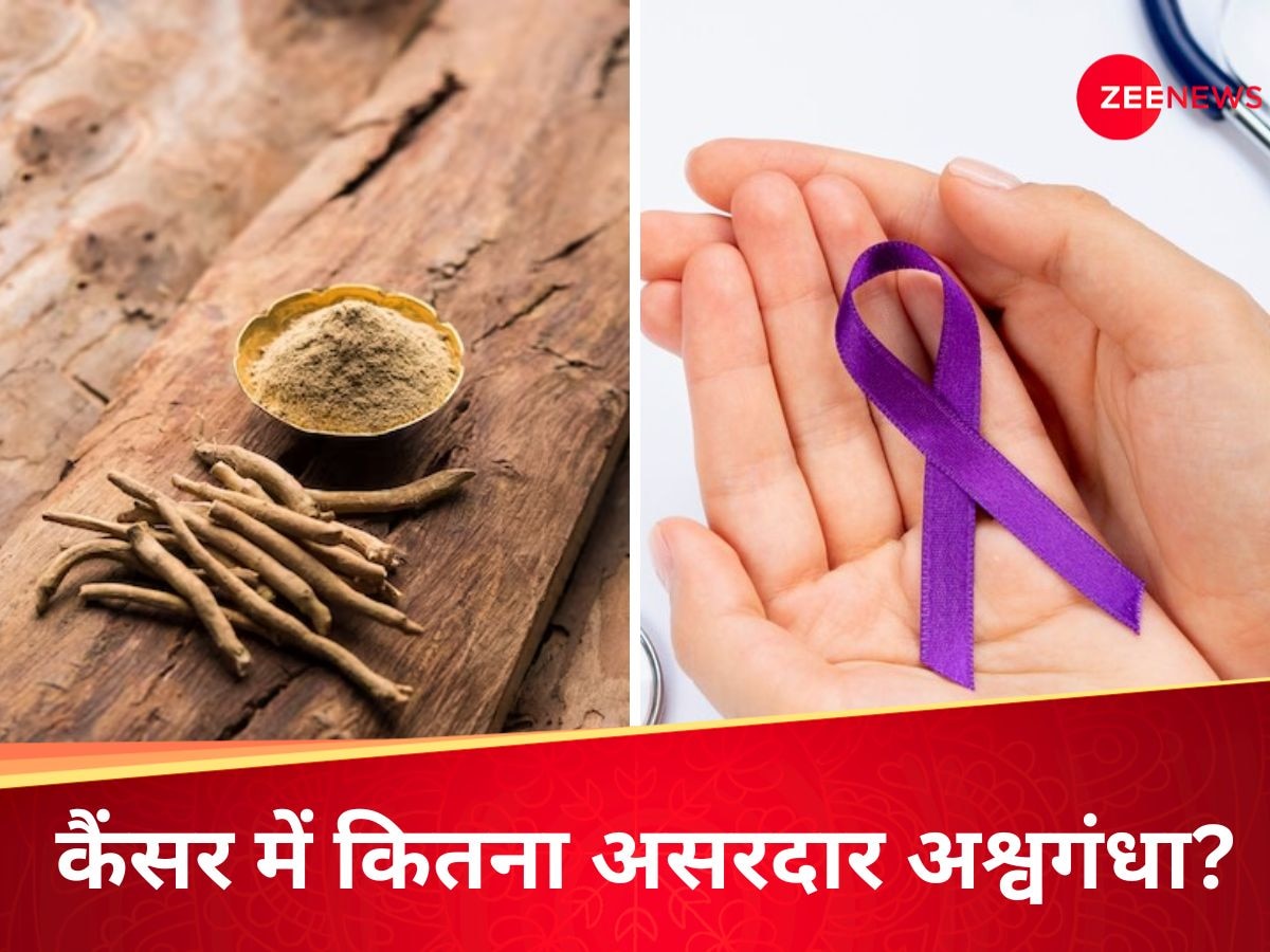 अश्वगंधा से हो सकता है कैंसर का इलाज? सच खोजने में जुटा देश का टॉप इंस्टीट्यूट  