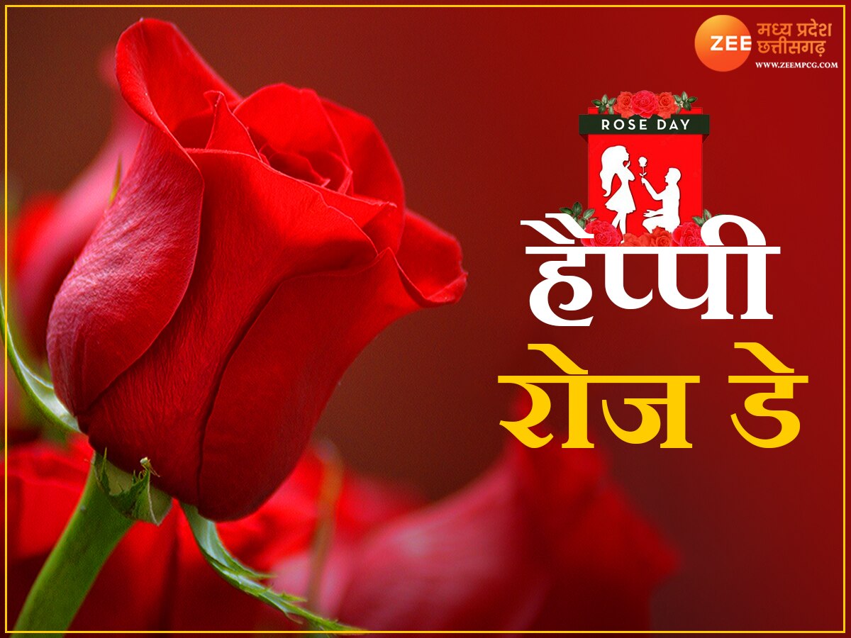 Rose Day 2024: रोज डे पर पार्टनर को दें इस कलर का गुलाब, रिश्तों में बढ़ सकता है प्यार