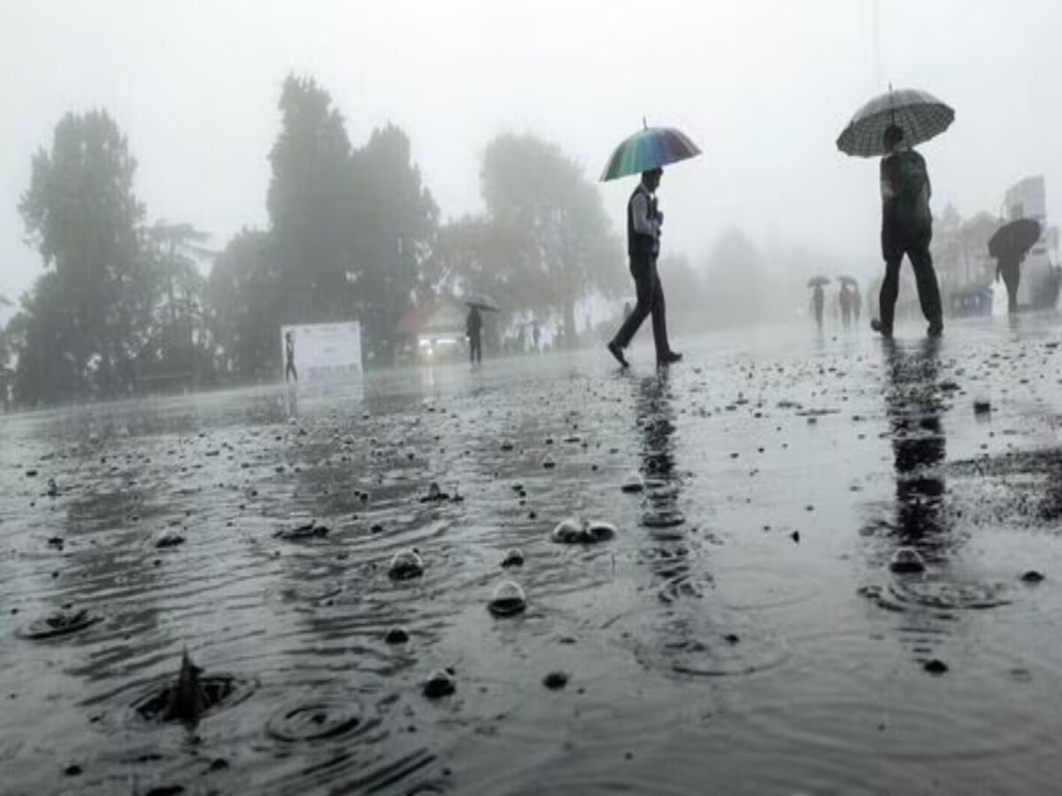 Weather Update: रूक-रूक कर हो रही बारिश बनी आफत, सब्जी की फसलें हो सकती हैं बर्बाद