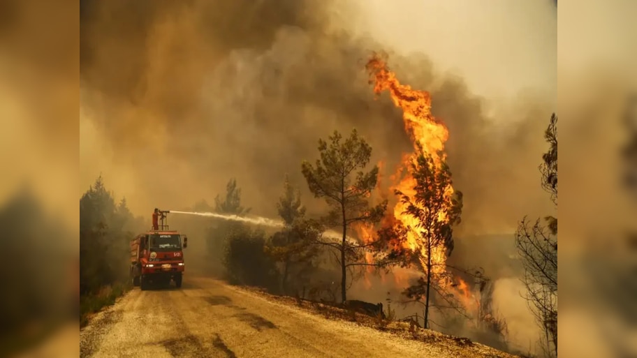 Chile Wildfires: ଜନବହୁଳ ଅଞ୍ଚଳକୁ ବ୍ୟାପିଲା ଜଙ୍ଗଲ ନିଆଁ; ୧୧୨ ମୃତ, ୧୬୦୦ ବାସଚ୍ୟୁତ