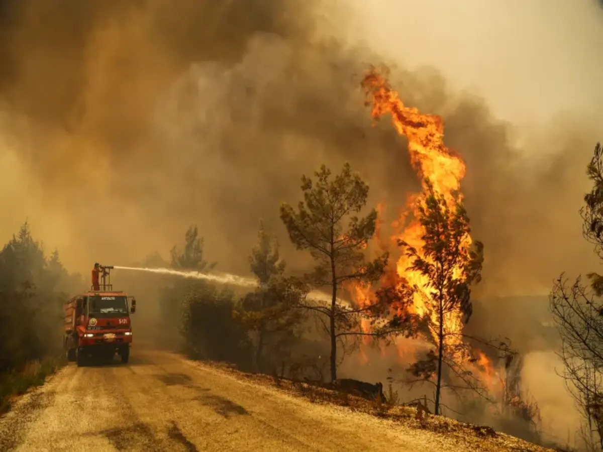 Chile Wildfires: ଜନବହୁଳ ଅଞ୍ଚଳକୁ ବ୍ୟାପିଲା ଜଙ୍ଗଲ ନିଆଁ; ୧୧୨ ମୃତ, ୧୬୦୦ ବାସଚ୍ୟୁତ Chile Wildfires: ଜନବହୁଳ ଅଞ୍ଚଳକୁ ବ୍ୟାପିଲା ଜଙ୍ଗଲ ନିଆଁ; ୧୧୨ ମୃତ, ୧୬୦୦ ବାସଚ୍ୟୁତ