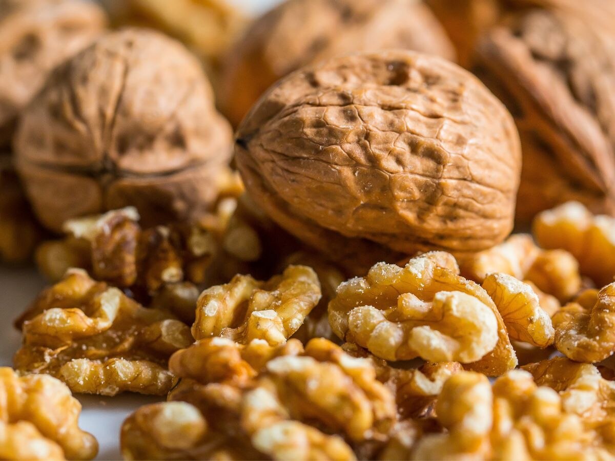 Walnut Benefits- पोषण का पावरहाउस है अखरोट, रोज मुट्ठी भर खाकर दें बीमारियों को झटका