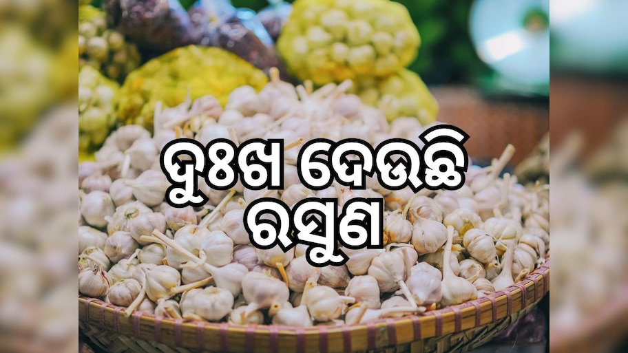 Garlic prices: ରସୁଣ କେଜି ଟପିଲା ୫୦୦, ଜାଣନ୍ତୁ କାରଣ କଣ