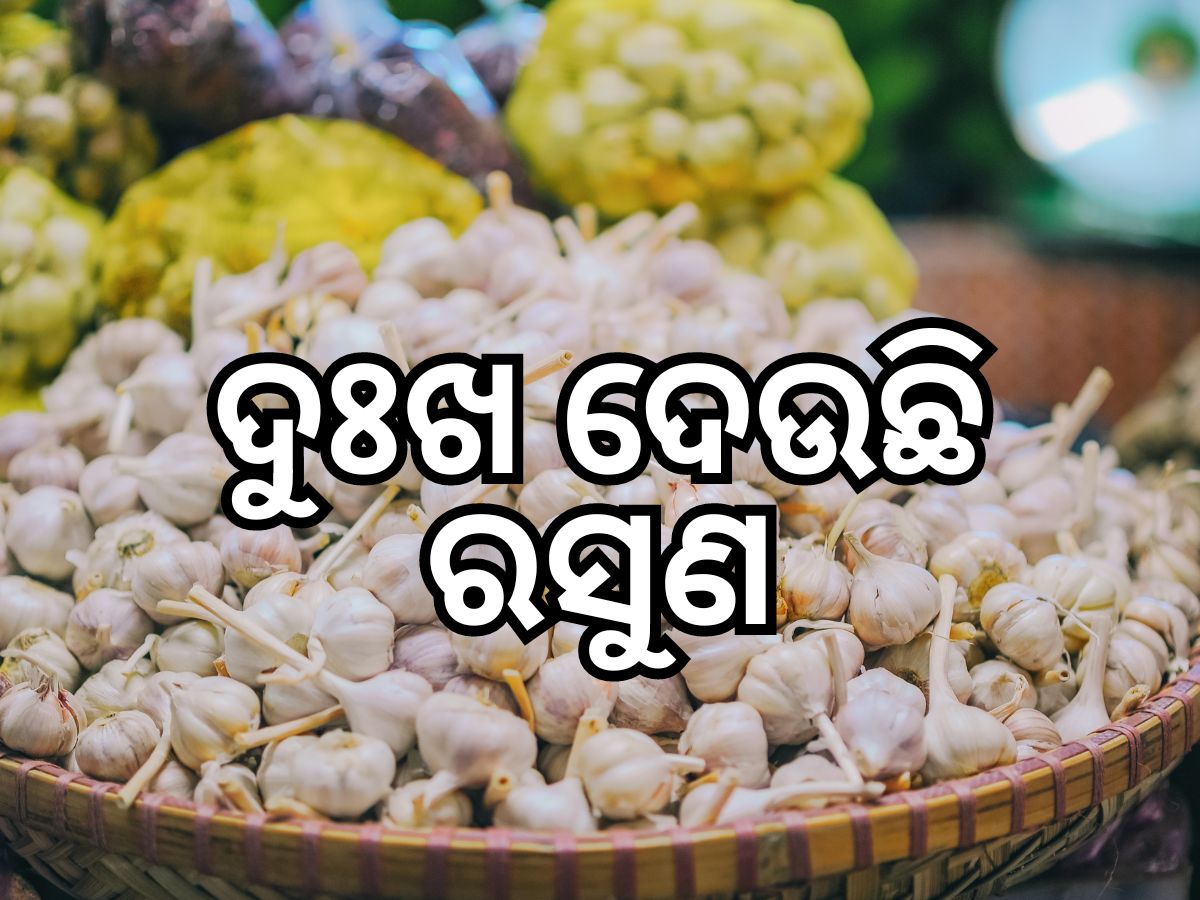 Garlic prices: ରସୁଣ କେଜି ଟପିଲା ୫୦୦, ଜାଣନ୍ତୁ କାରଣ କଣ Garlic prices: ରସୁଣ କେଜି ଟପିଲା ୫୦୦, ଜାଣନ୍ତୁ କାରଣ କଣ